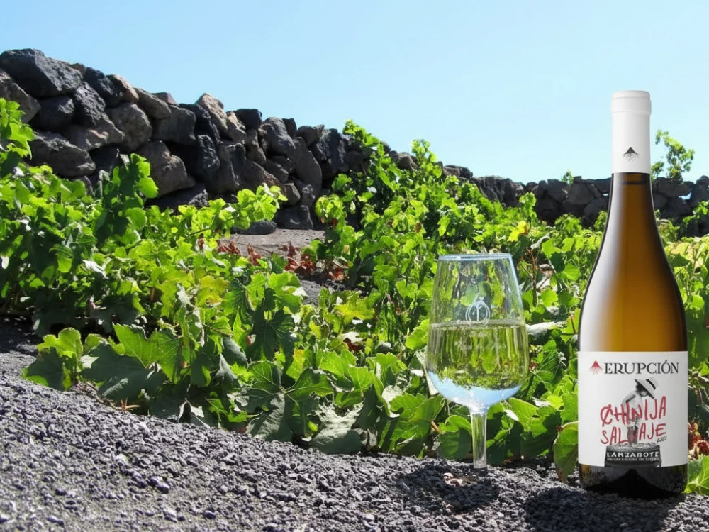 Historia de Vinos Canarios