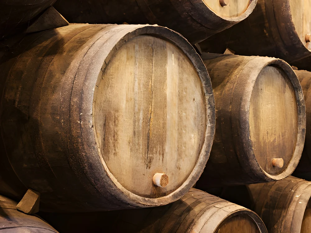 Bodegas canarias